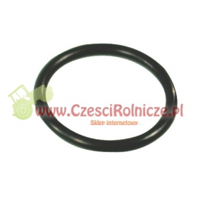 ORING   20.70 * 2.62 [OR020726]
