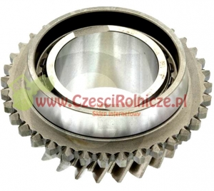 KOŁO ZĘBATE Z-24  SKOŚNE ZĘBY [CFN131]