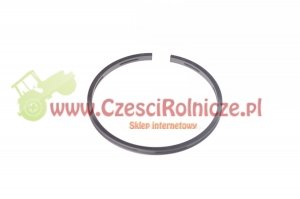 PIERŚCIEŃ TŁOK. ZGARNIAJĄCY [UB030011]