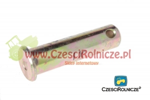 22 - SWORZEŃ [UD039022]