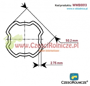 RURA PROFILOWANA 50,2*2,75  SFT  S4-S5  Z [WWB0013]