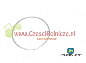 41 - PIERŚCIEŃ [UD030041]