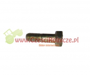 ŚRUBA  M8*25  ZABIERAKA KL. 8.8 [SKP021]