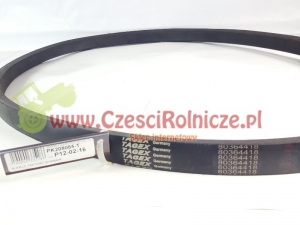 36-2130 LZ  PAS KLINOWY     New Holland 80364418 [PK208085-T]