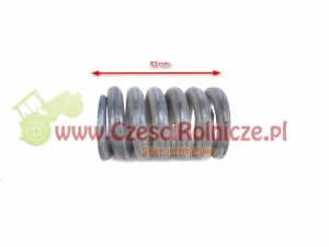 SPRĘŻYNA [BI10920]