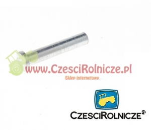 06 - SWORZEŃ [UD086006]