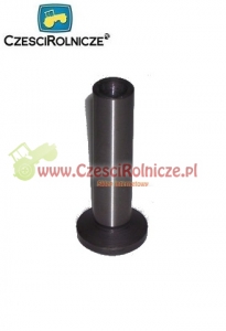 10 - POPYCHACZ [UD003010]