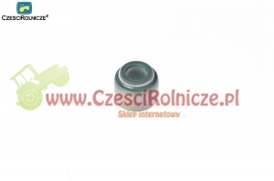 21 - USZCZELNIENIE ZAWORU SSĄCEGO [UD004021]