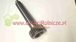 WAŁEK GŁÓWNY N.T. [UB250109]