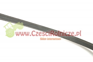 B-1420   PAS KLINOWY [PK14203]