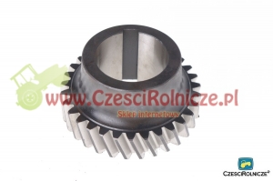 34 - DOLNE KOŁO II BIEGU    3-BIEGOWA [UD030134]