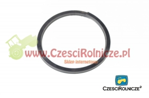 39 - PIERŚCIEŃ DO SERWOMECHANIZMU [UD079039]