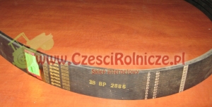 3B-2886       PAS KLINOWY   661220.1 [PK288637-H]