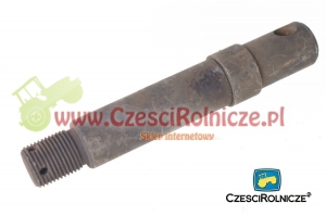 21 - SWORZEŃ RAMIENIA PODNOŚNIKA [UD114021]