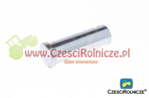 01 -  SWORZEŃ [UD129001]