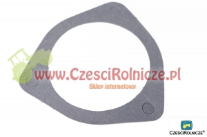 40 - USZCZELKA TERMOSTATU [UD004040]