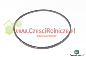 Z- 950   PAS KLINOWY [PK09501]