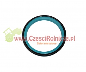 USZCZELNIACZ SIŁOWNIKA 40x6.3 [CFH411]