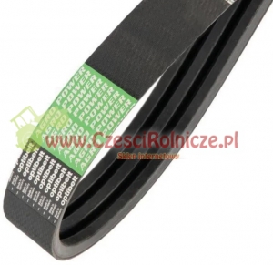 PAS OPTIBELT AP1003653 - [PK410037-O]