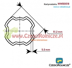 RURA PROFILOWANA SFT/S8       51,20*5,00 [WWB0018]