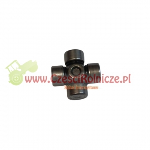 KRZYŻAK   16,00- 38,00 [WWK161]