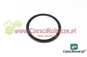 423 - MISECZKA I [UD049423]