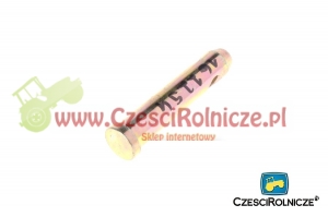 45 - SWORZEŃ [UD129045]