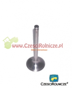 55 - ZAWÓR SSĄCY  /45* / [UD004055]