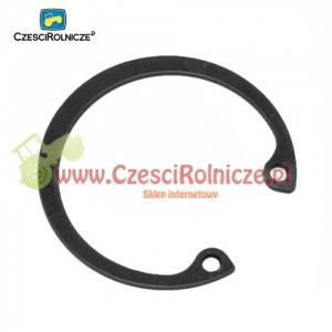 42W             PIERŚCIEŃ OSADCZY (SEGER [PO2042]