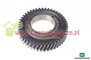 23 - KOŁO ŚRODKOWE I [UD023023]