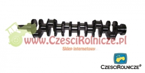 33K - WAŁ KORBOWY  6-CYL.   INDIA [UD002033K]