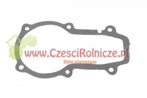 27 - USZCZELKA REGULAT.POMPY [UD008027]