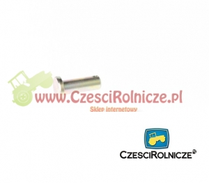 37 - SWORZEŃ [UD006037]