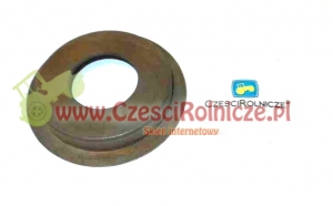 40 - PIERŚCIEŃ     55113411 [UD078040]