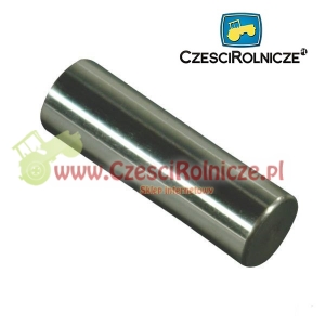 SWORZEŃ TŁOKA [OPP08-0015]