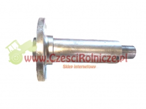 CZOP SPRZĘGŁA [BI30416]