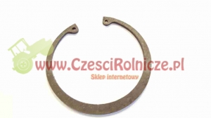 85W             PIERŚCIEŃ OSADCZY [PO2085]