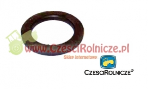 23 - PIERŚCIEŃ DYSTANSOWY [UD028023]