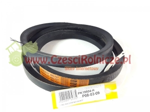 C-1950   PAS KLINOWY [PK19504]