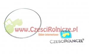 17 - PIERŚCIEŃ ZABEZP. [UD031017]