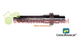 20 - WAŁ [UD028020]