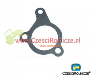 USZCZELKA WLEWU      80002064 [UD001075]