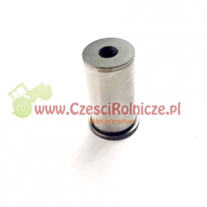 SWORZEŃ Z KOŁNIERZEN [KCL020222]