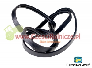 2B-5250   PAS KLINOWY [PK525036]