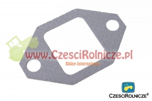31 - USZCZELKA PRZEWODU WYDECH. [UD004031]