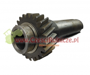 38 - WAŁEK 89120881 [UD030438]