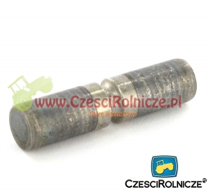 SWORZEŃ ZABIERAKA   (STARSZA WERSJA) [ZZD408]