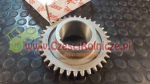 KOŁO III BIEGU ZETOR [UB250022Z]