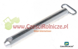 107 - SWORZEŃ  25*170 Z UCHEM [UD133107]