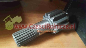 WAŁEK  12 Z [SN056016]